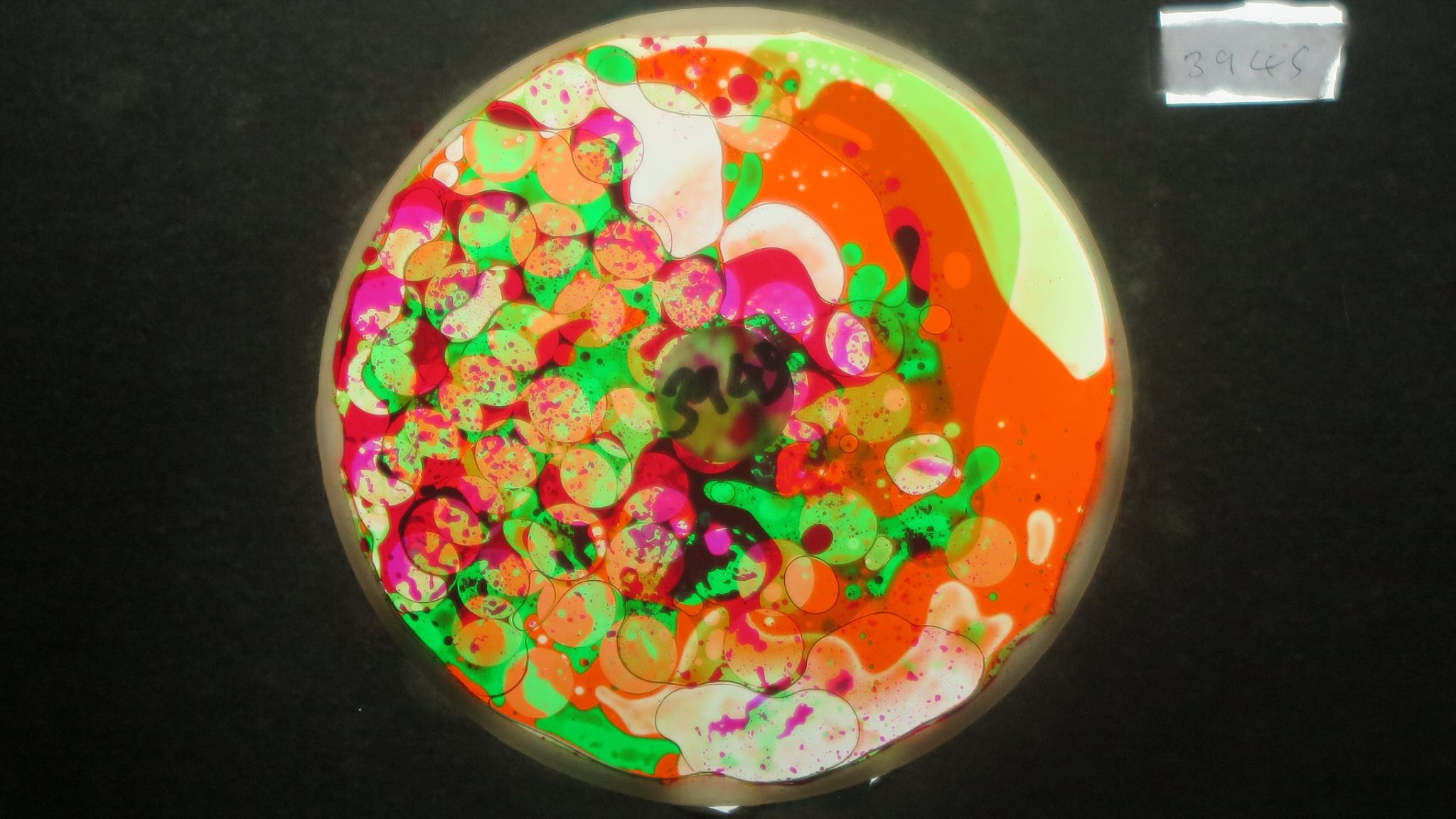 BV3945 bubble vision oil wheel